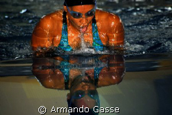 Swimming for the Gold by Armando Gasse 